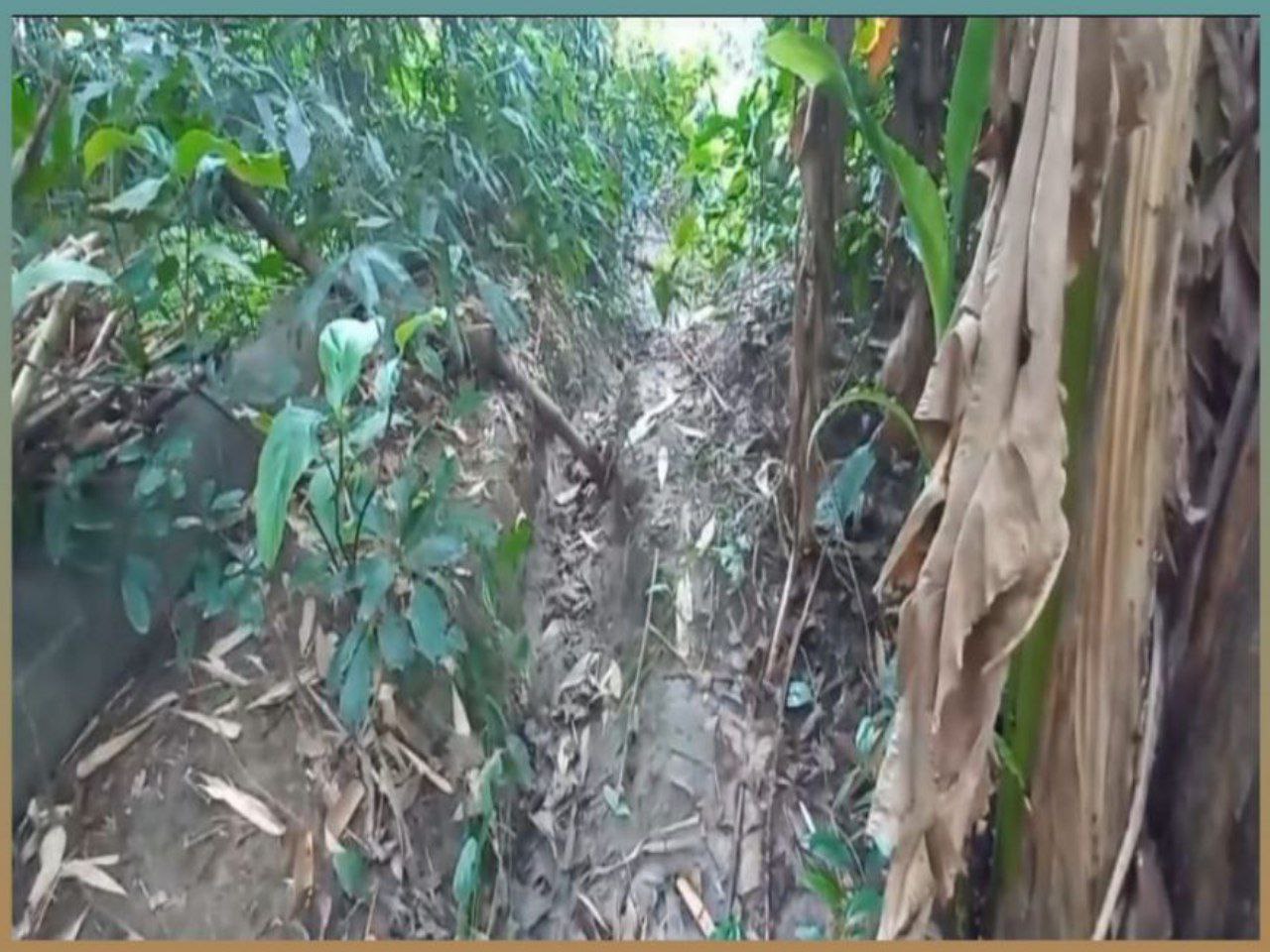 skeleton-recovered-in-kalna-burdwan-creates-sensation-in-the-area